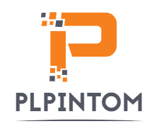 Plpintom-seo.com
